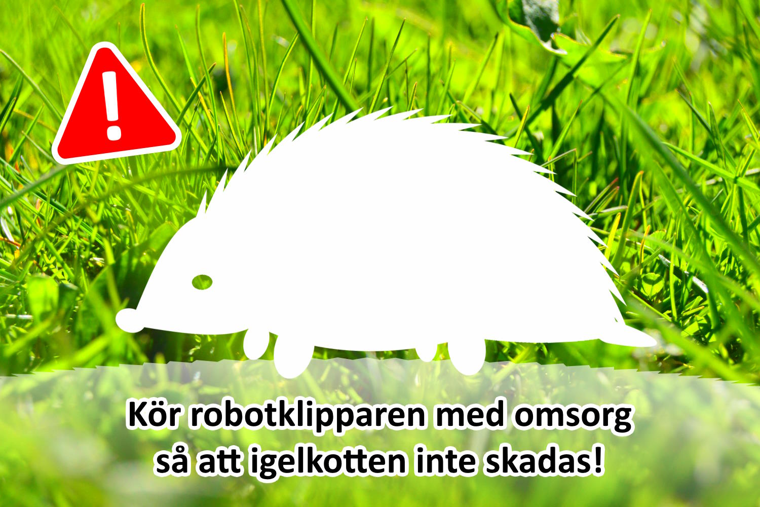 Akta igelkotten när du kör med robotklippare!