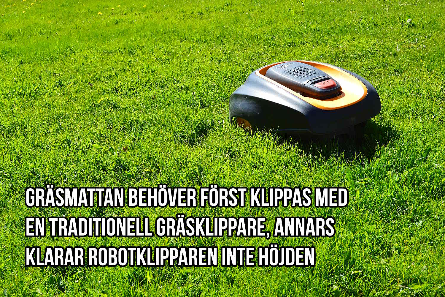 För högt gräs för robotklipparen