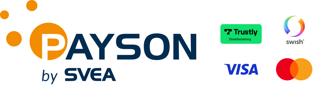 Payson logo